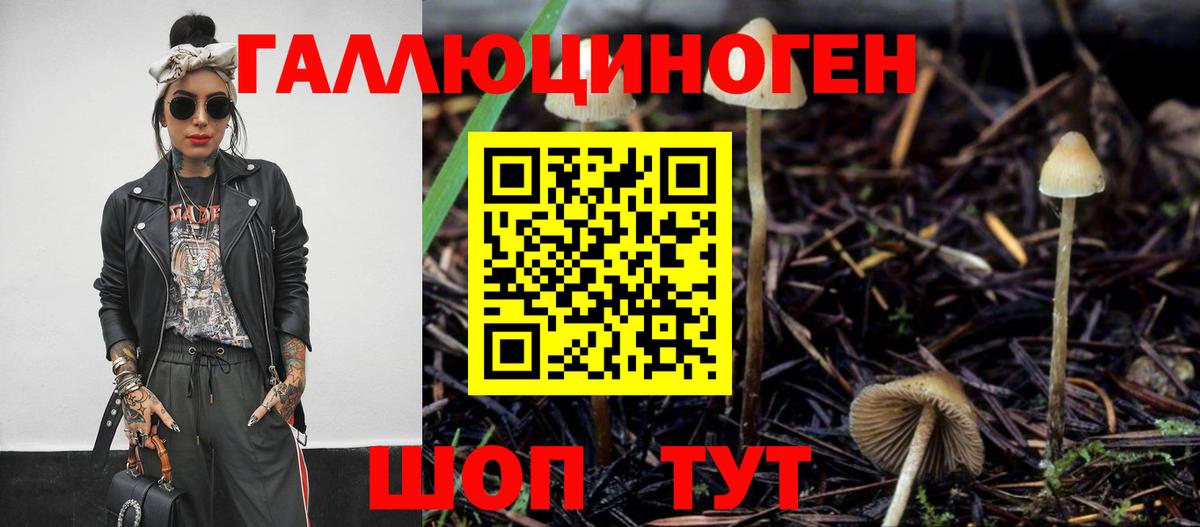 Кинель  Галлюциногенные грибы Psilocybine cubensis  Галлюциногенные грибы мицелий  Вход с VPN 